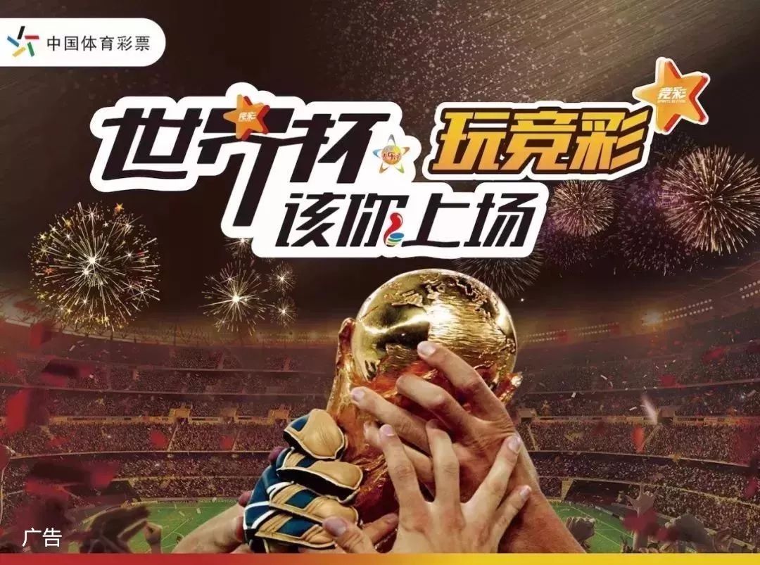 网与
